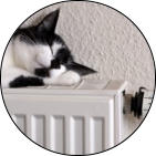 Central Heating Congleton